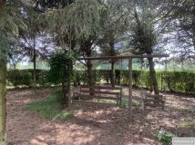 dom wolnostojący, 3 pokoje Popów-Kolonia. Zdjęcie 4