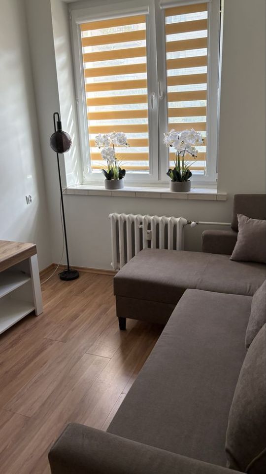 Mieszkanie 2-pokojowe Busko-Zdrój, os. Tadeusza Kościuszki. Zdjęcie 5