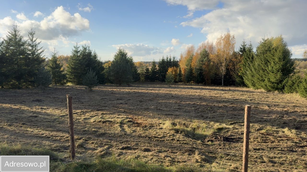 Działka budowlana Dołuje, ul. Daniela. Zdjęcie 6