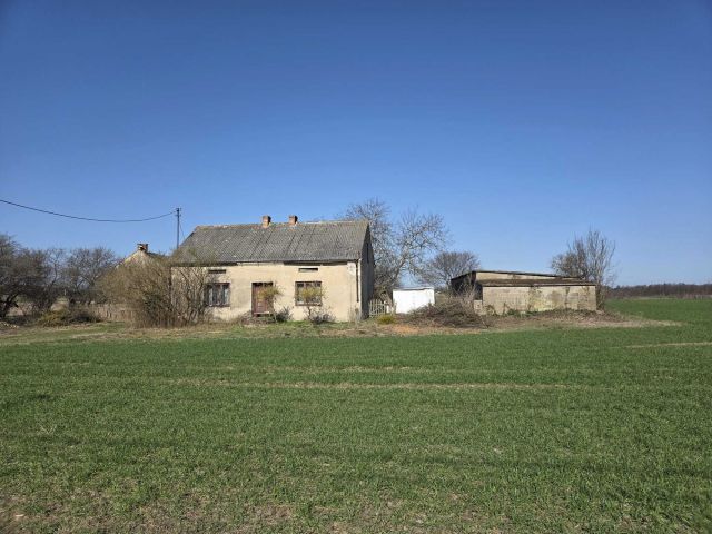 siedlisko Szkleniec. Zdjęcie 1