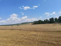 Działka budowlana Oleszna Podgórska. Zdjęcie 2