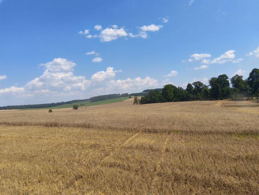 Działka budowlana Oleszna Podgórska. Zdjęcie 3