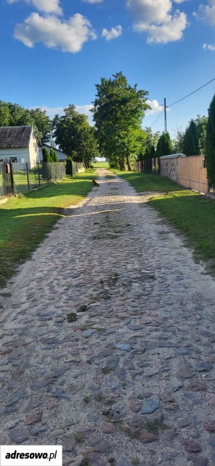 Działka rekreacyjna Pomianowo. Zdjęcie 4