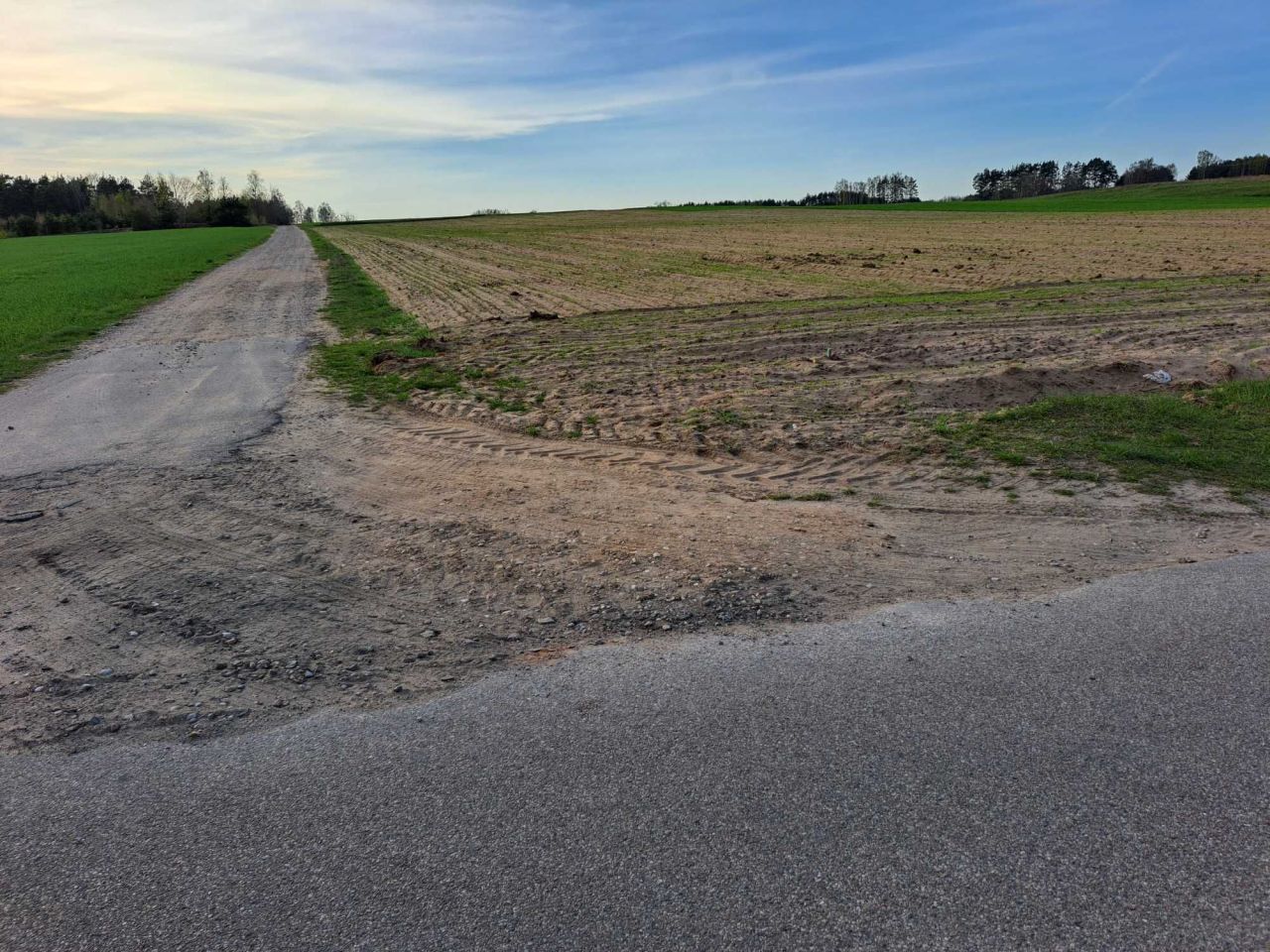 Działka rolno-budowlana Będźmierowice. Zdjęcie 2