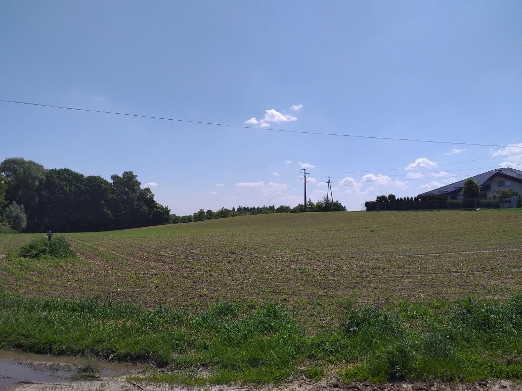 Działka budowlana Wierzbna Wandówka. Zdjęcie 6