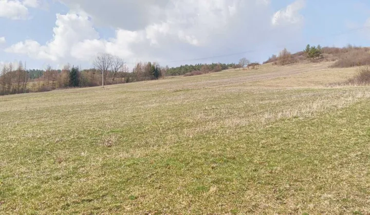 Działka rolno-budowlana Kąty