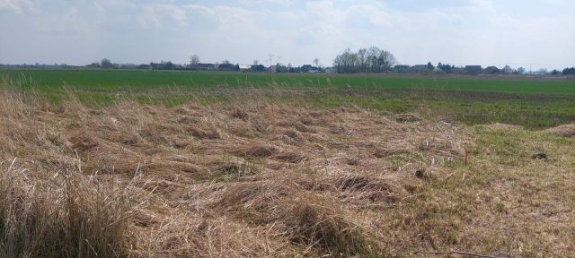 Działka budowlana Piastowice. Zdjęcie 1