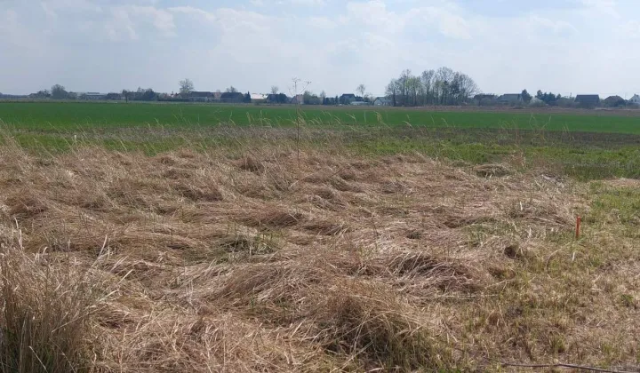 Działka budowlana Piastowice