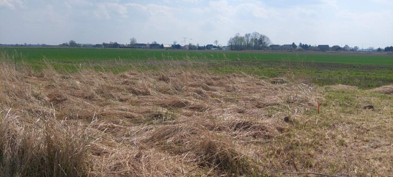 Działka budowlana Piastowice. Zdjęcie 1