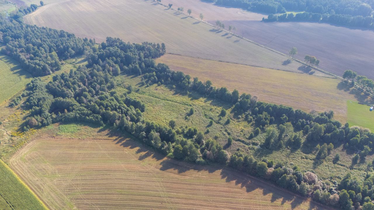Działka rolno-budowlana Gołębiewo. Zdjęcie 11