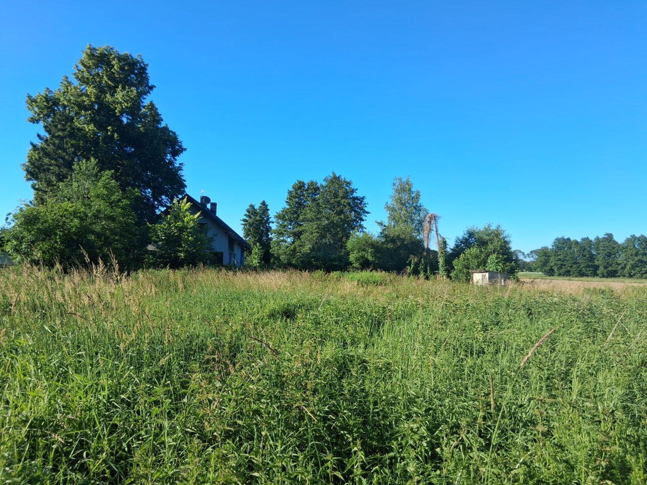 Działka budowlana Stary Tomyśl, Stary Tomyśl. Zdjęcie 6