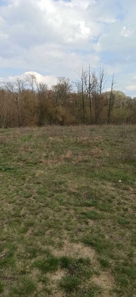 Działka rekreacyjna Brzóze Małe. Zdjęcie 5