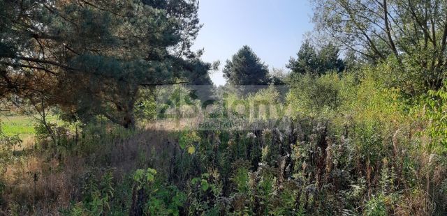 Działka rolno-budowlana Kaliszki. Zdjęcie 2