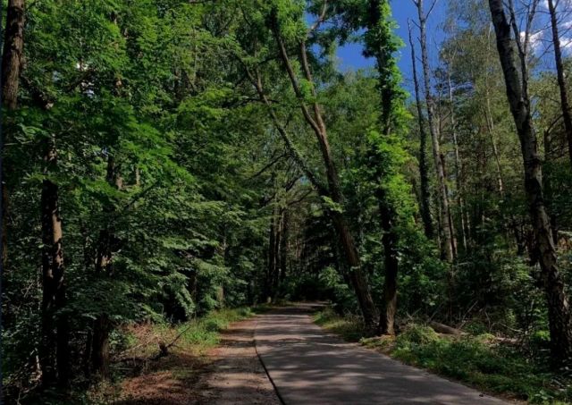 Działka budowlana Świbinki. Zdjęcie 1