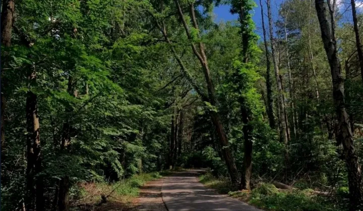 Działka budowlana Świbinki