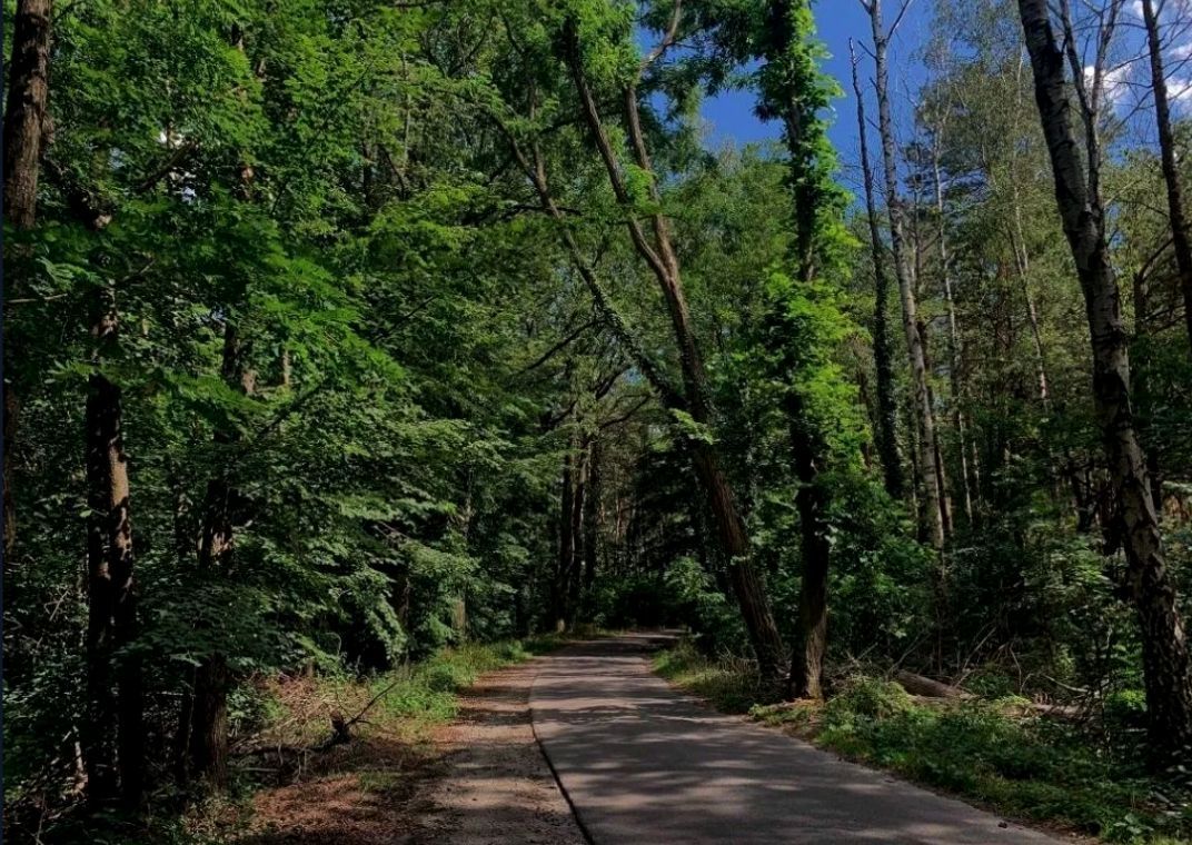 Działka budowlana Świbinki. Zdjęcie 1