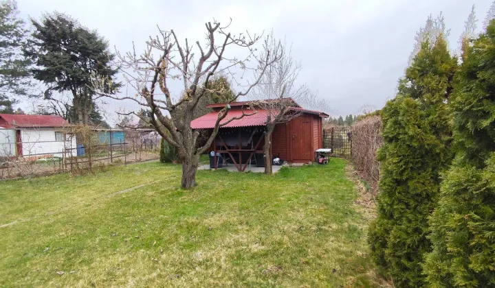 Działka rod Płock, ul. Targowa