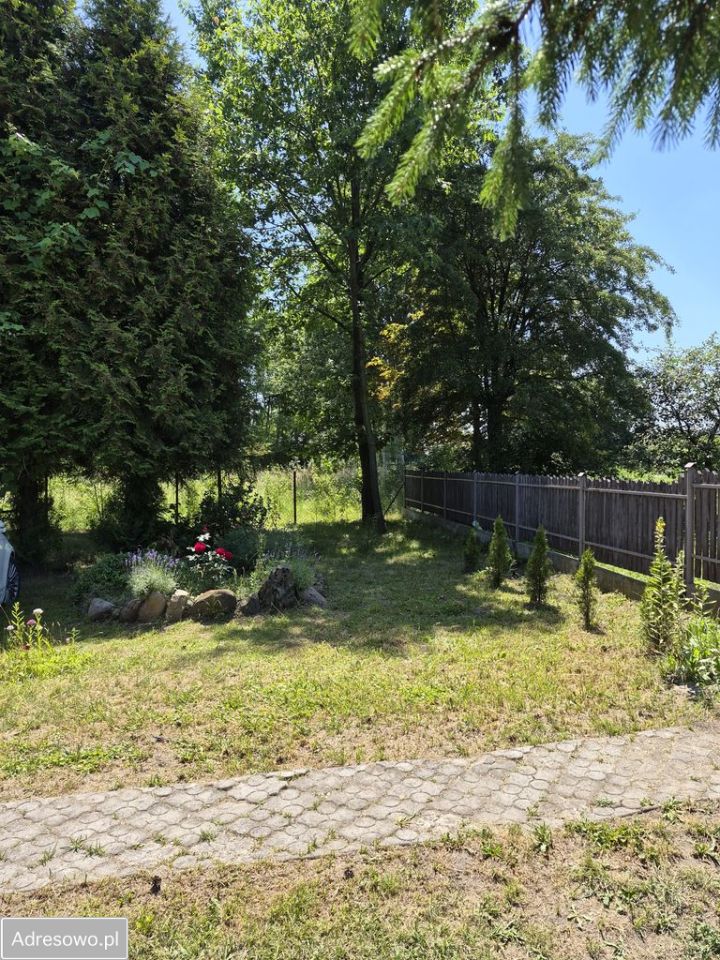 Działka rolno-budowlana Grzybów. Zdjęcie 6