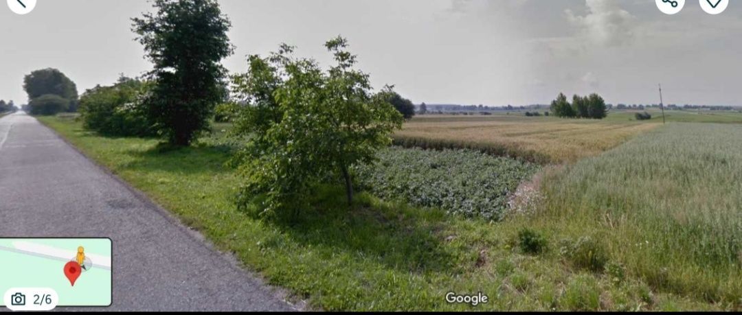 Działka rolno-budowlana Horyszów Polski. Zdjęcie 3