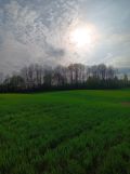 Działka rolno-budowlana Kitnowo. Zdjęcie 4