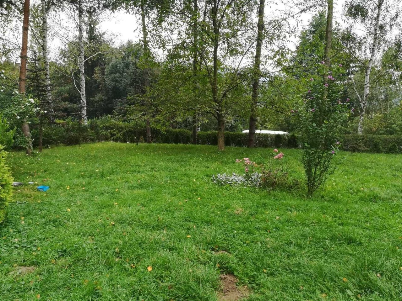 dom wolnostojący, 3 pokoje Lutcza. Zdjęcie 7