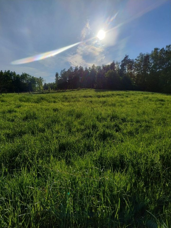 Działka budowlana Rywałd. Zdjęcie 3