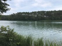 Działka leśna Broda. Zdjęcie 4