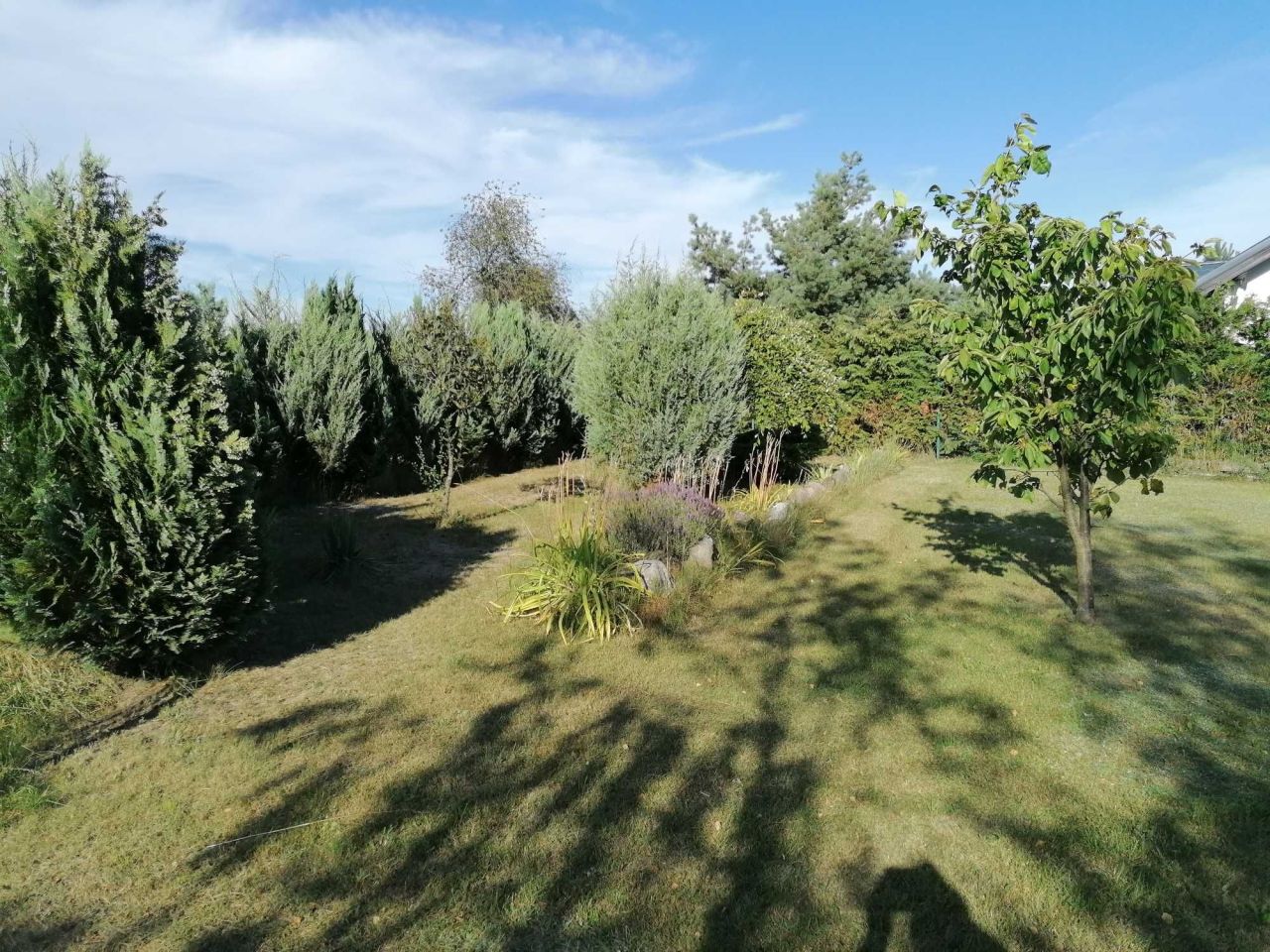 Działka budowlana Józefowo. Zdjęcie 5