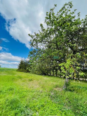 dom wolnostojący, 2 pokoje Zalesie. Zdjęcie 7