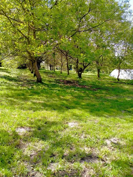 Działka budowlana Trojanowice, ul. Wąwozowa. Zdjęcie 15