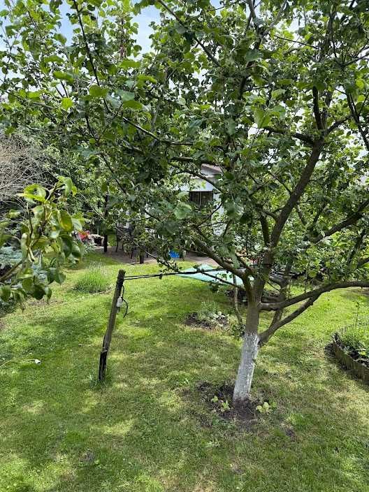 Działka rod Szczecinek. Zdjęcie 7