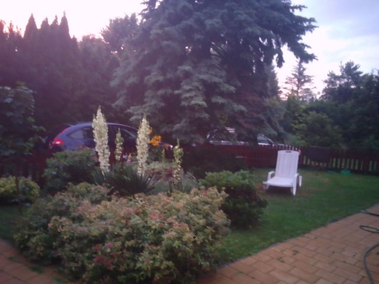 Działka rod Kolonia Sochocin. Zdjęcie 5