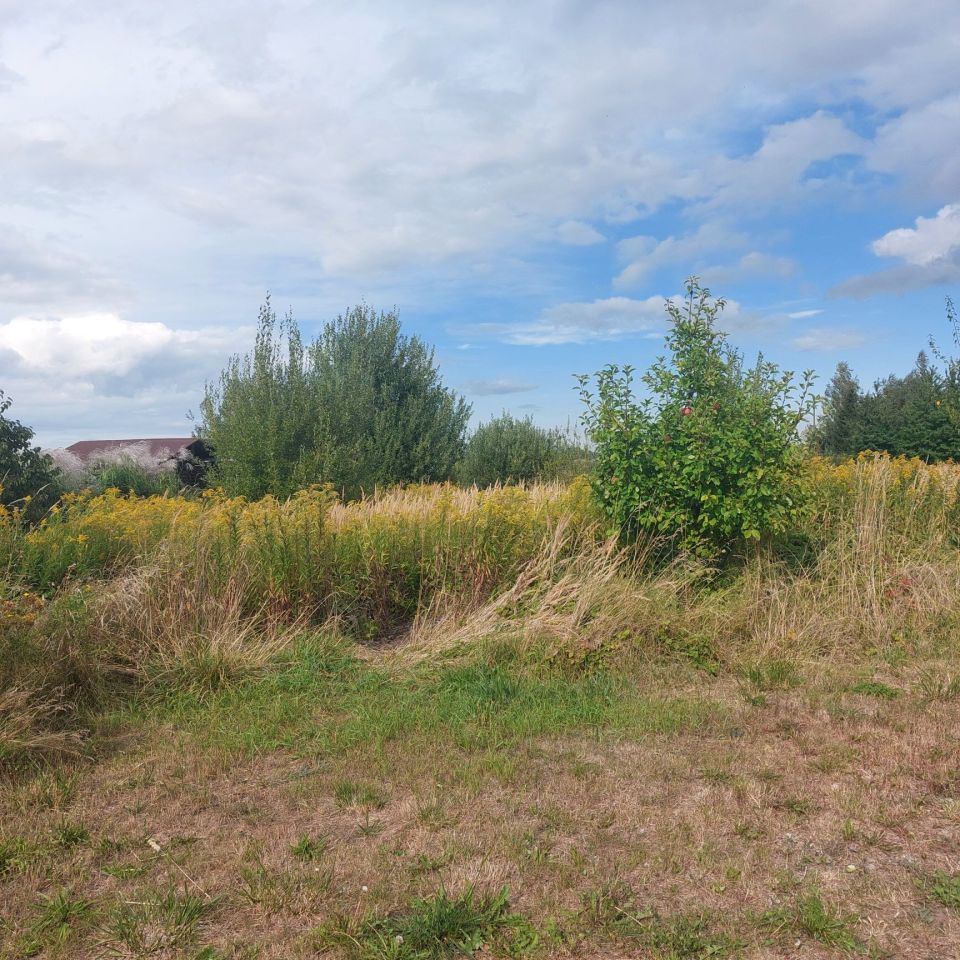 Działka siedliskowa Królikowice, ul. Orzechowa. Zdjęcie 5