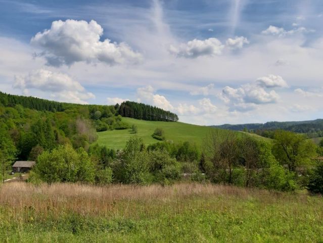 Działka budowlana Huta Poręby. Zdjęcie 1