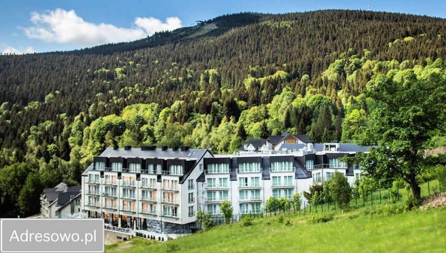 Lokal Sienna. Zdjęcie 7