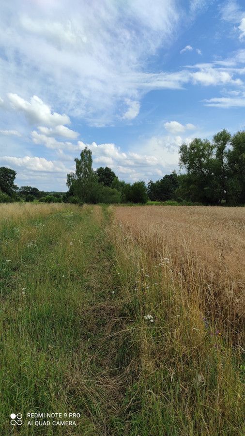 Działka budowlana Duchnów. Zdjęcie 5