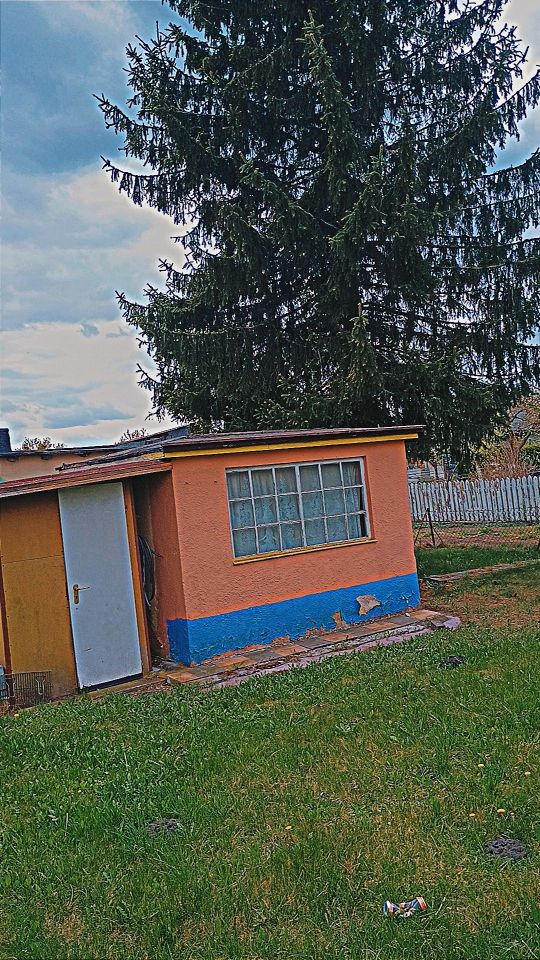 Działka rod Inowrocław, szosa Bydgoska. Zdjęcie 1