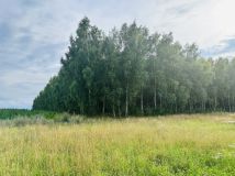 Działka budowlana Szczodrowo. Zdjęcie 4