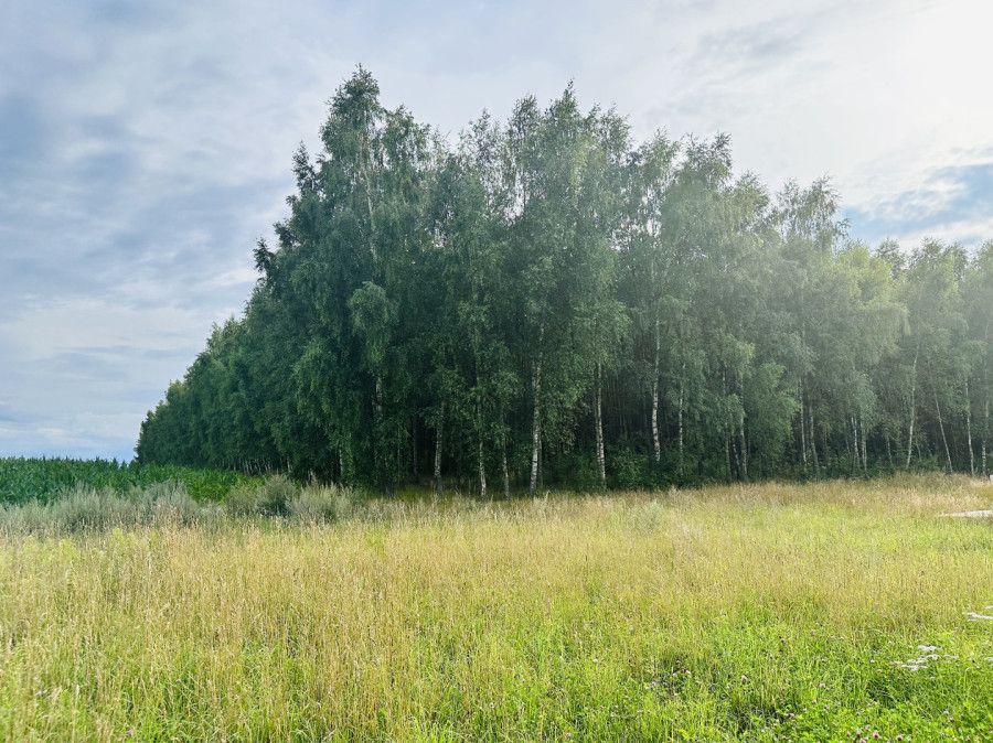 Działka budowlana Szczodrowo. Zdjęcie 5