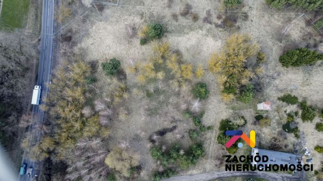 Działka inwestycyjna Bojadła, ul. Sulechowska. Zdjęcie 9