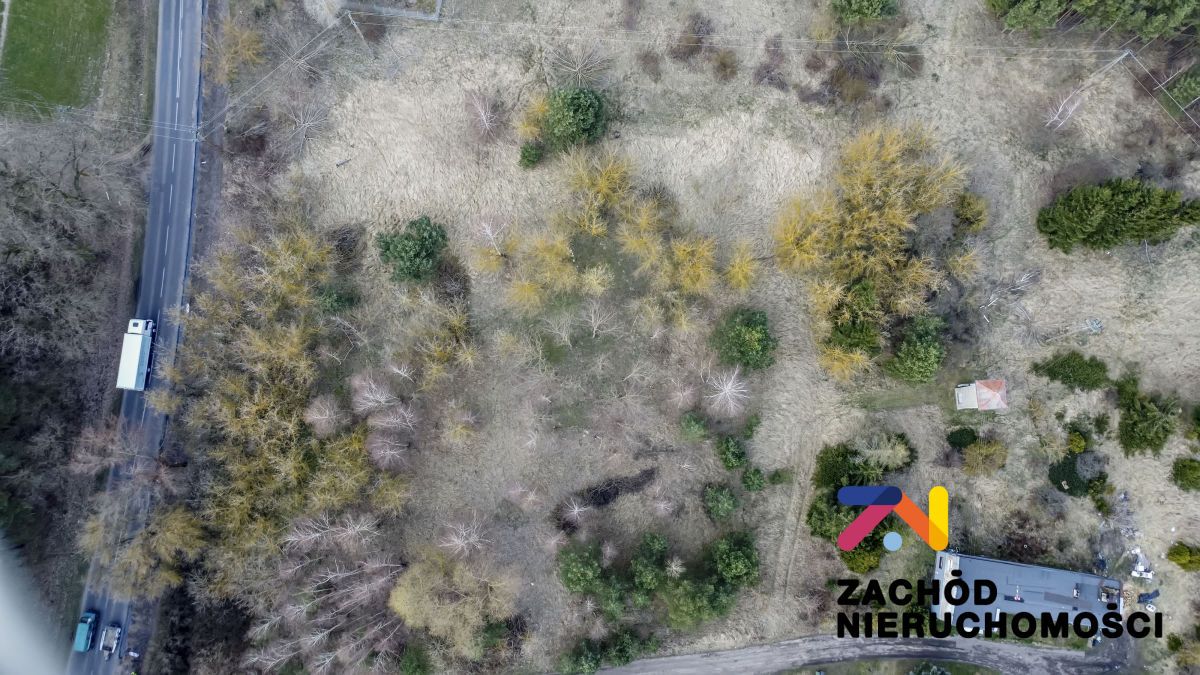 Działka inwestycyjna Bojadła, ul. Sulechowska. Zdjęcie 9