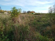 Działka siedliskowa Międzyrzecze. Zdjęcie 2