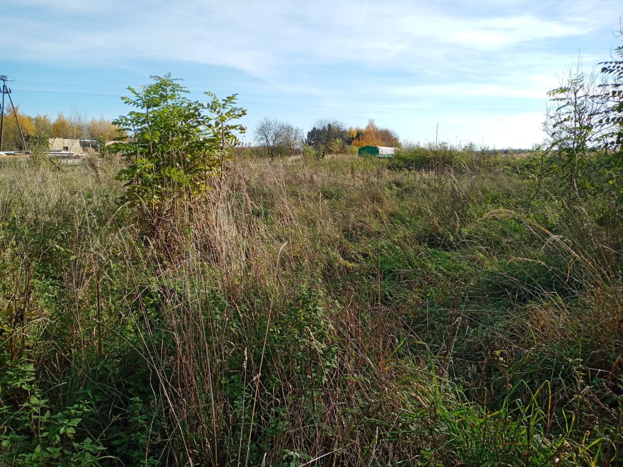 Działka siedliskowa Międzyrzecze. Zdjęcie 3