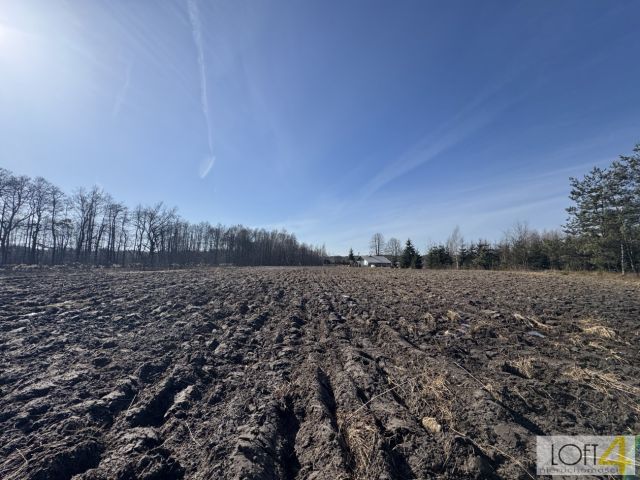 Działka rolno-budowlana Smyków. Zdjęcie 13