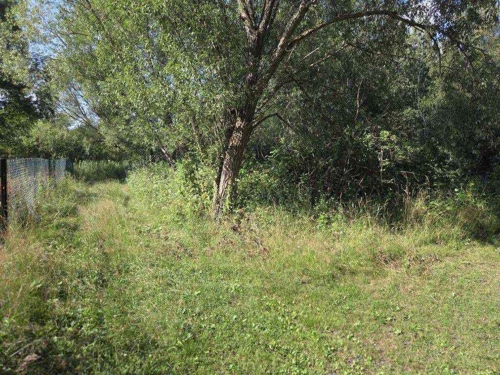 Działka rekreacyjna Szczechy Małe. Zdjęcie 3