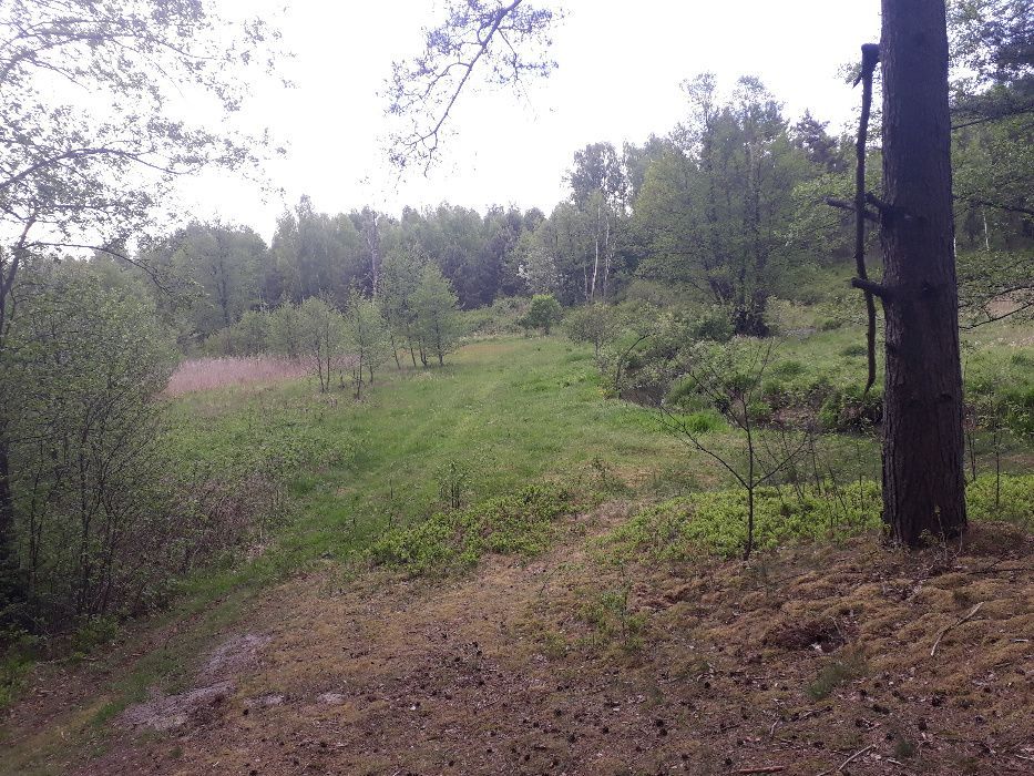 Działka rekreacyjna Kolonie Stanisławów. Zdjęcie 7