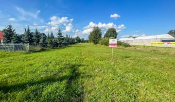 Działka budowlana Kuczów