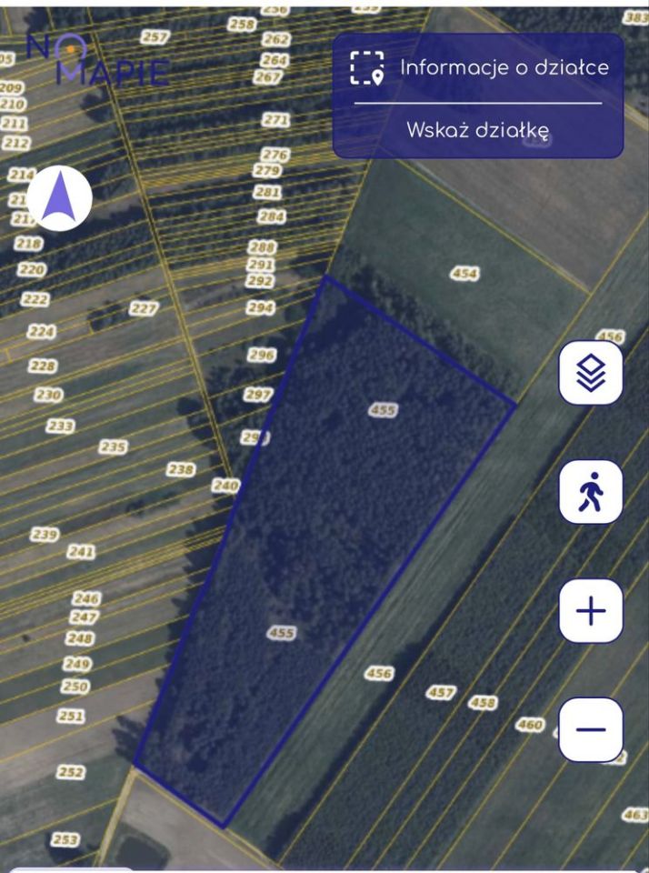 Działka leśna Soćki. Zdjęcie 3