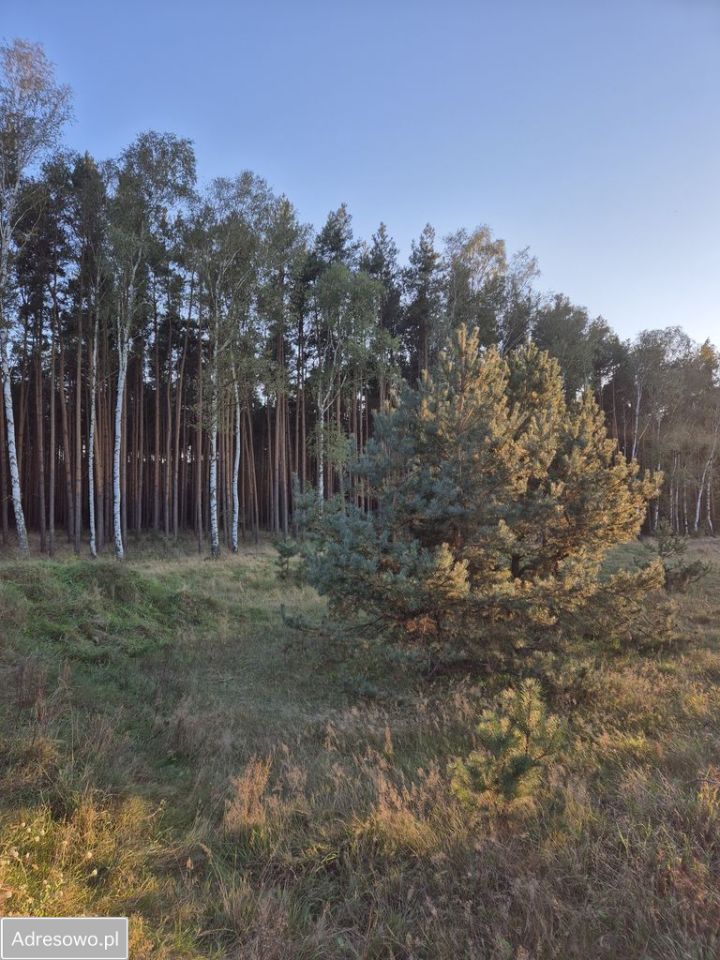 Działka budowlana Niedoradz. Zdjęcie 3
