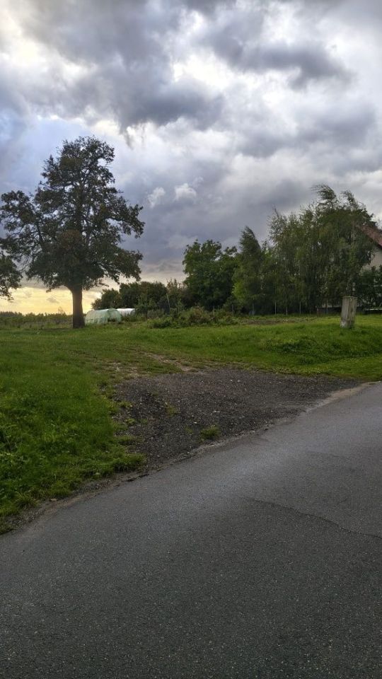 Działka rolno-budowlana Boleścin. Zdjęcie 6